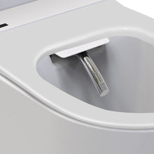 Neion wall faced intelligent toilet with remote and Arcisan concealed cistern