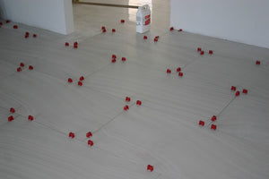 Tuscan seamclip red clip Levelling system
